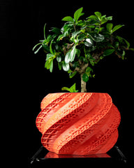 Ghiveci Decorativ Shell ArtVeris Inaltime 12cm Wanty