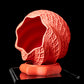 Ghiveci Decorativ Shell ArtVeris Inaltime 12cm