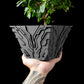 Ghiveci Decorativ Uplink ArtVeris Inaltime 12cm