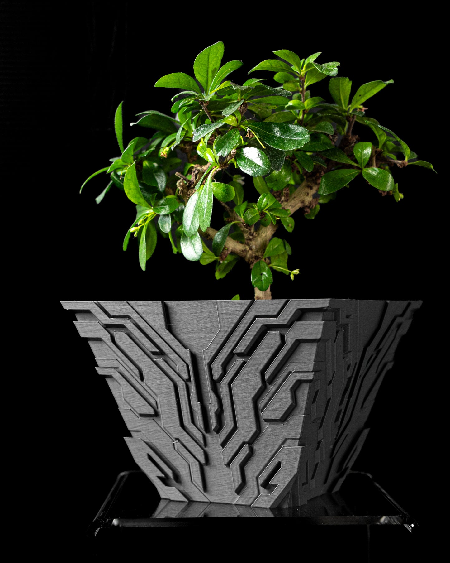 Ghiveci Decorativ Uplink ArtVeris Inaltime 12cm