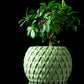 Ghiveci Decorativ Scale ArtVeris Inaltime 12cm