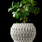 Ghiveci Decorativ Petal ArtVeris Inaltime 12cm