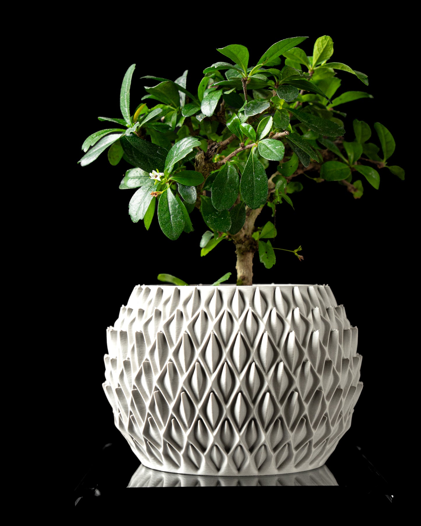 Ghiveci Decorativ Petal ArtVeris Inaltime 12cm