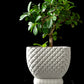 Ghiveci Decorativ Connect ArtVeris Inaltime 12cm