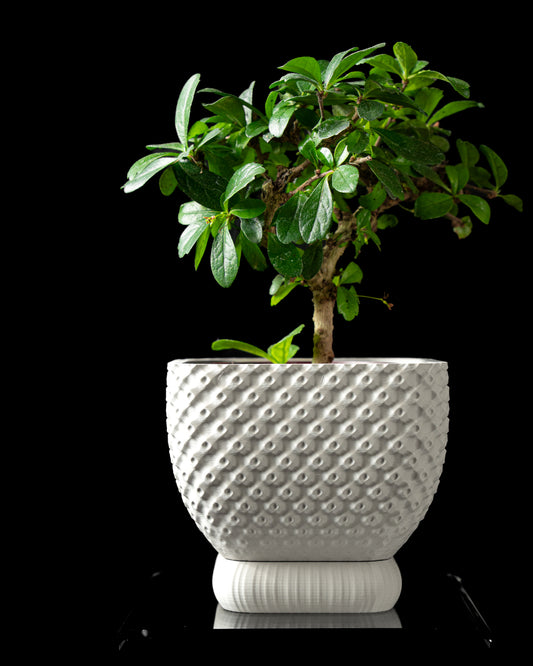 Ghiveci Decorativ Connect ArtVeris Inaltime 12cm