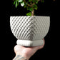 Ghiveci Decorativ Connect ArtVeris Inaltime 12cm