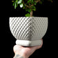 Ghiveci Decorativ Connect ArtVeris Inaltime 12cm