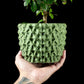 Ghiveci Decorativ Tri-Wave ArtVeris Inaltime 12cm