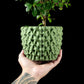 Ghiveci Decorativ Tri-Wave ArtVeris Inaltime 12cm