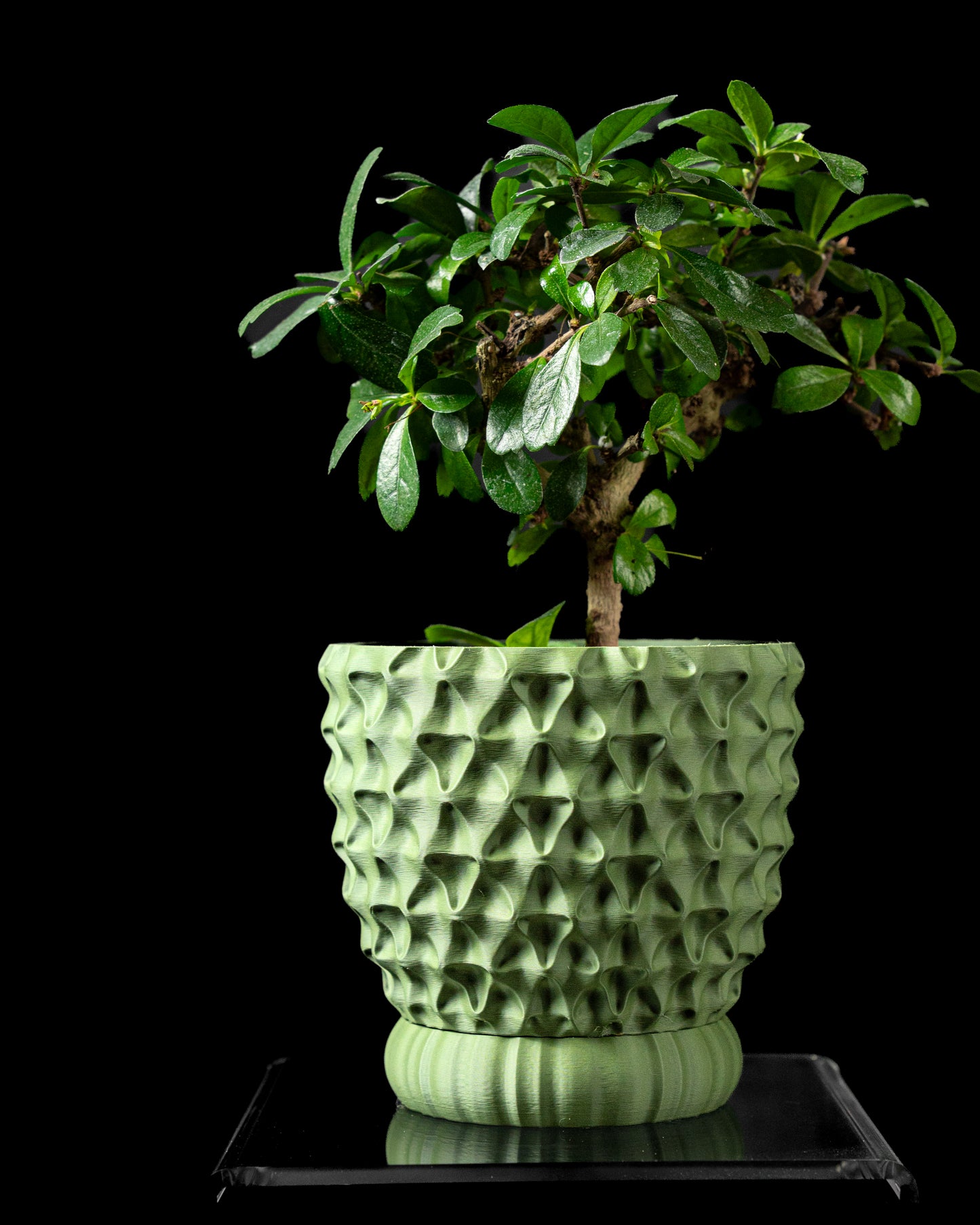 Ghiveci Decorativ Tri-Wave ArtVeris Inaltime 12cm