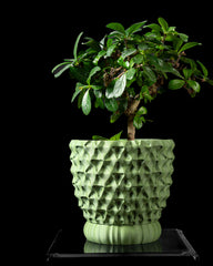 Ghiveci Decorativ Tri-Wave ArtVeris Inaltime 12cm Wanty
