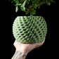 Ghiveci Decorativ Cobble ArtVeris Inaltime 12cm Verde