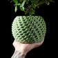 Ghiveci Decorativ Cobble ArtVeris Inaltime 12cm Verde