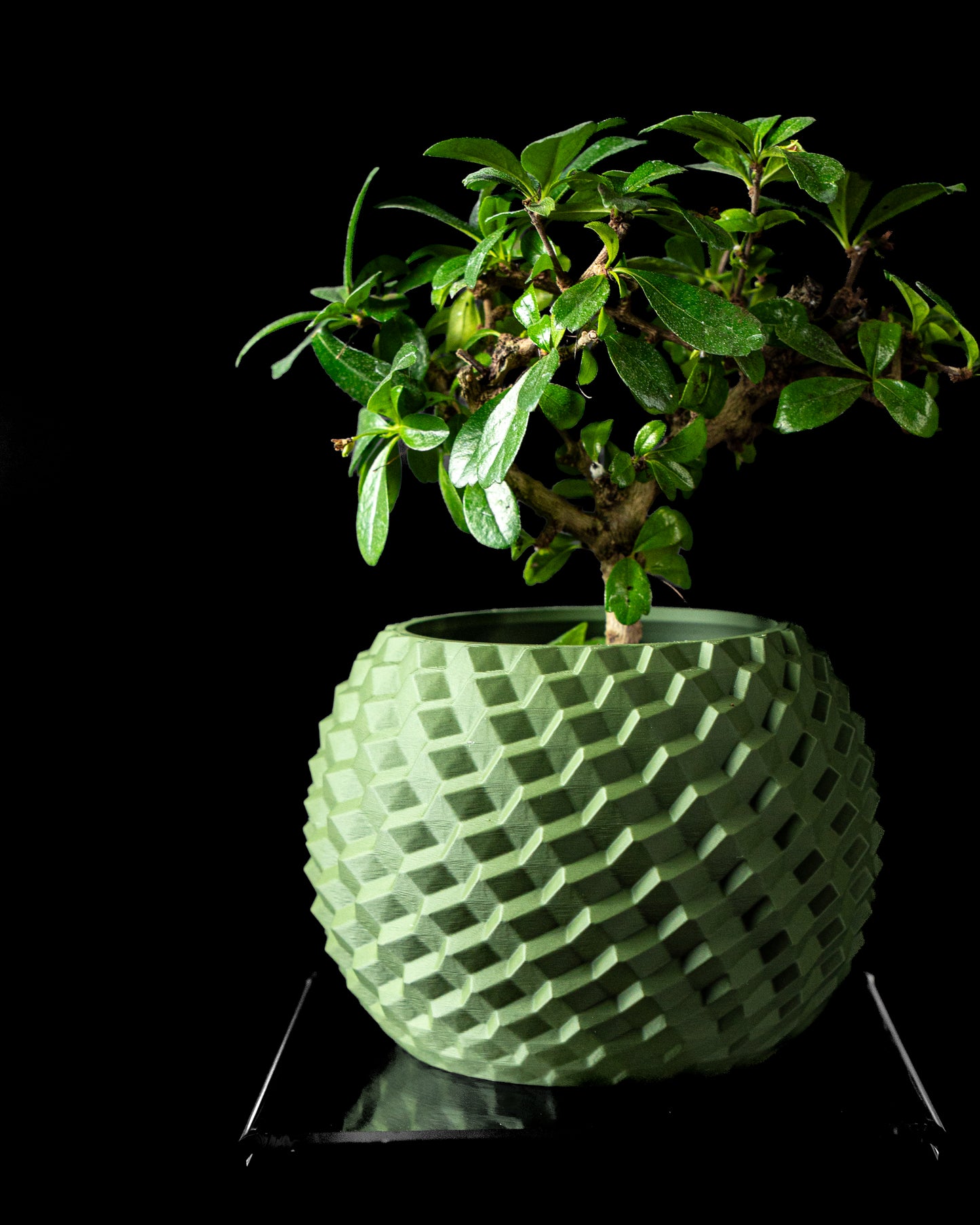 Ghiveci Decorativ Cobble ArtVeris Inaltime 12cm Verde