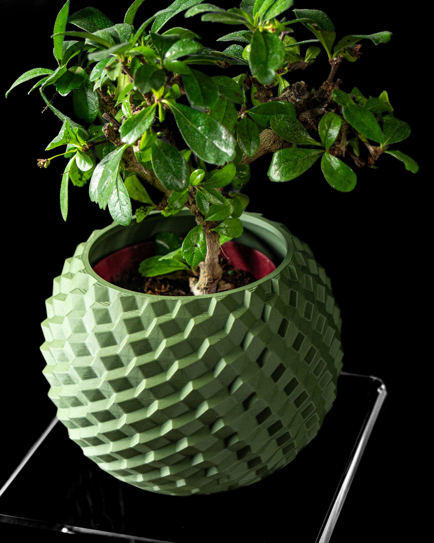 Ghiveci Decorativ Cobble ArtVeris Inaltime 12cm Verde