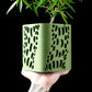 Ghiveci Decorativ Vapor ArtVeris Inaltime 13cm Verde