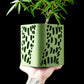 Ghiveci Decorativ Vapor ArtVeris Inaltime 13cm Verde
