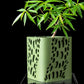 Ghiveci Decorativ Vapor ArtVeris Inaltime 13cm Verde
