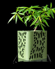 Ghiveci Decorativ Vapor ArtVeris Inaltime 13cm Verde Wanty
