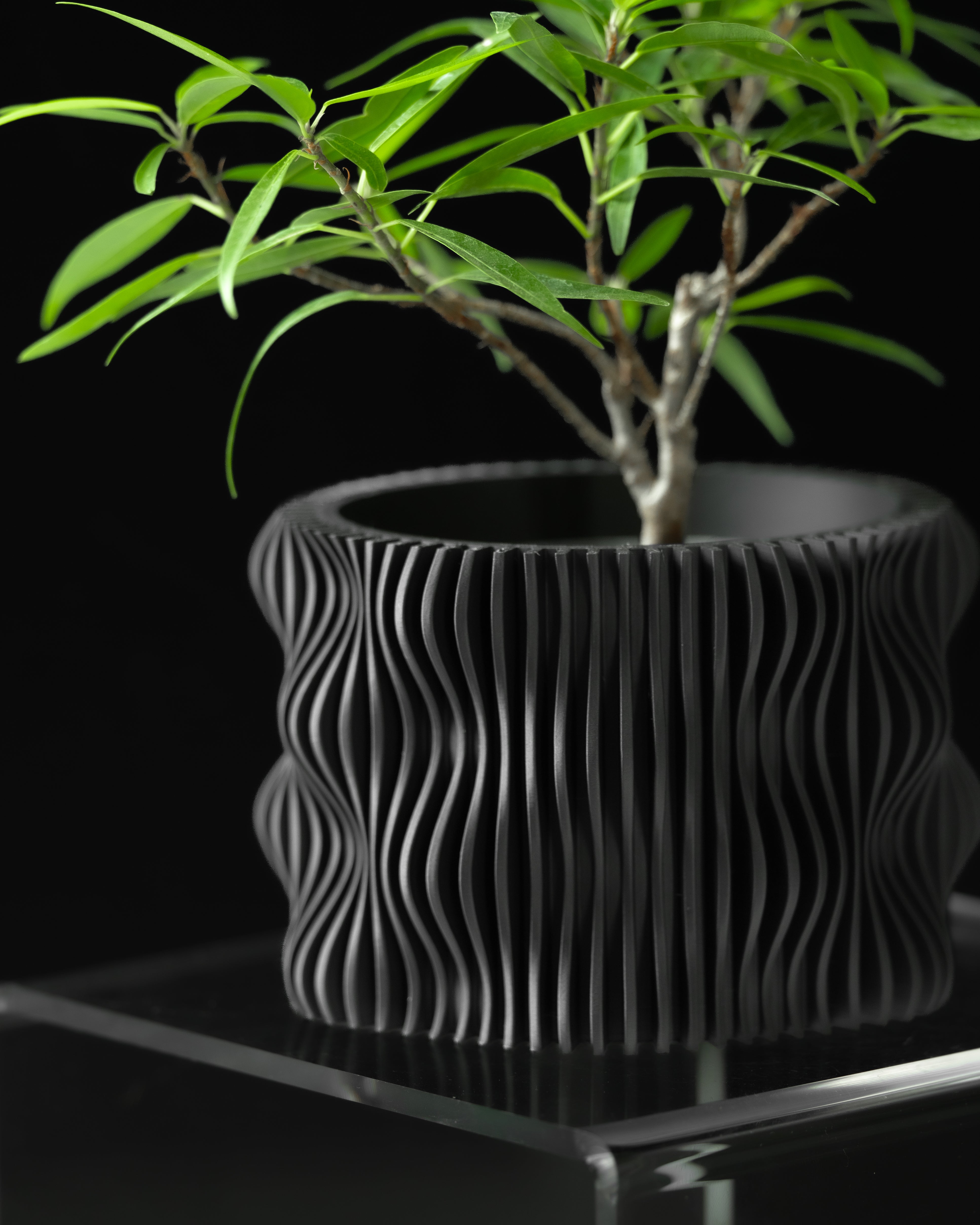 Ghiveci Decorativ Muxel ArtVeris Inaltime 12cm