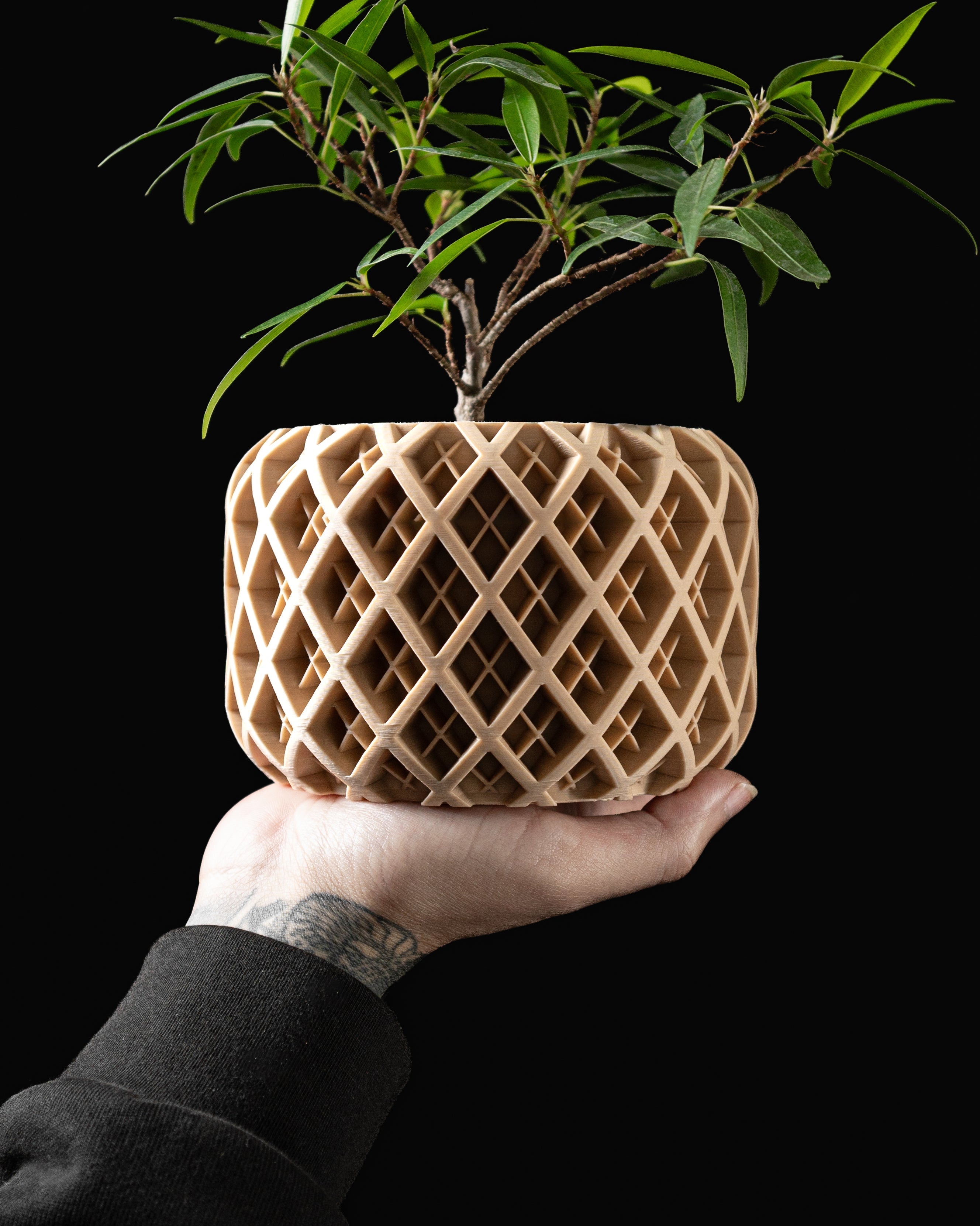 Ghiveci Decorativ Torio ArtVeris Inaltime 13cm