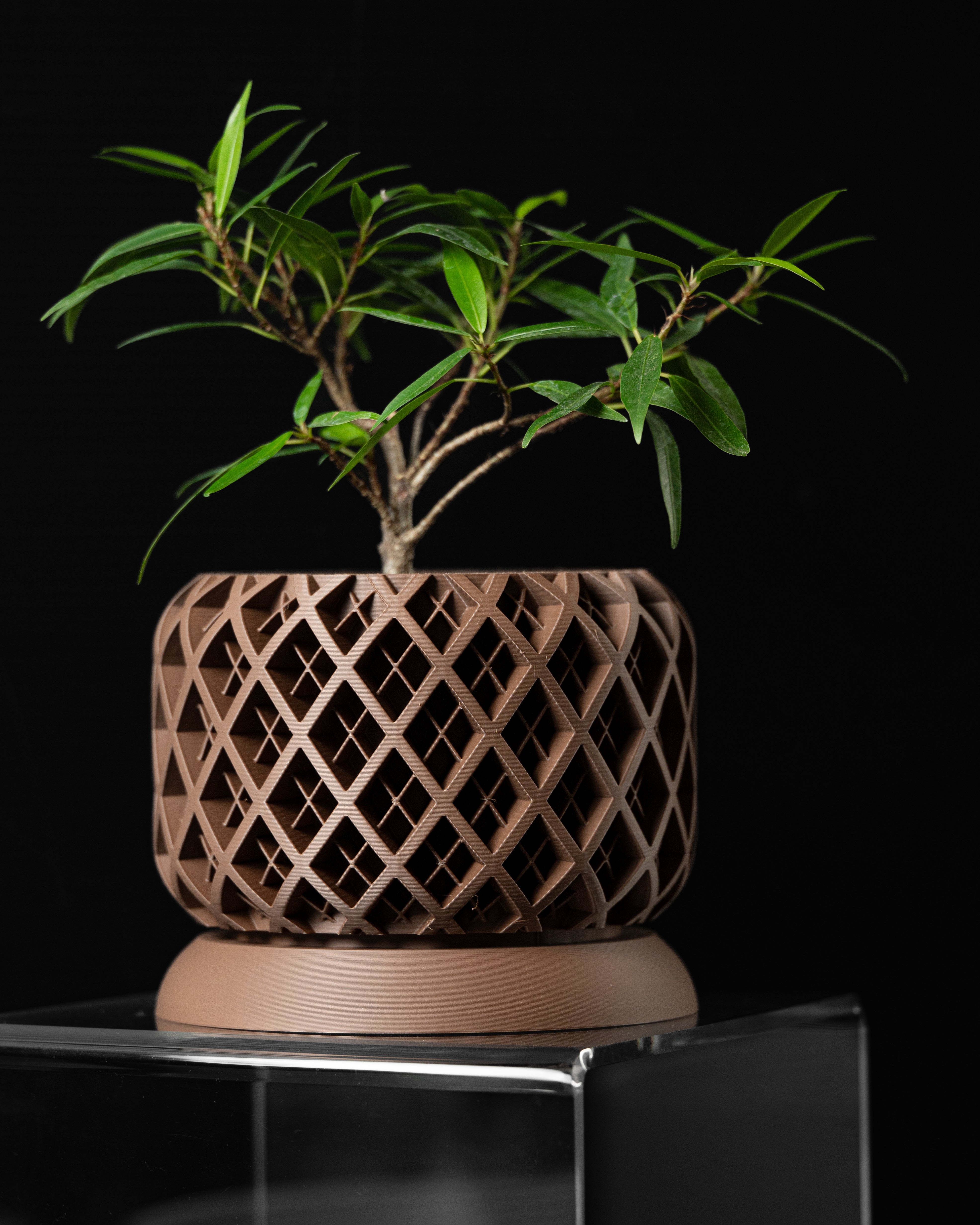 Ghiveci Decorativ Torio ArtVeris Inaltime 13cm